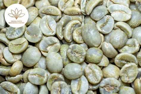 Vietnam Arabica Fully Washed Green Coffee Beans