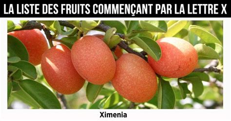 Fruit en X la liste des fruits commençant par la lettre X