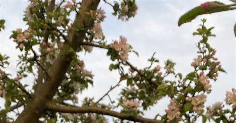 Весенний котик | Пикабу