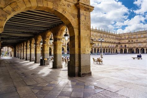 Premium Photo | Plaza mayor of salamanca on a sunny day to enjoy its ...