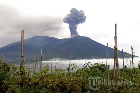 Erupsi Gunung Marapi 11 Pendaki Meninggal Dunia Foto 8 1985316