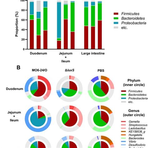 The Microbiome Analysis Of Gi Tracts From Mice Treated With Wild Type