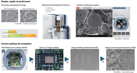 Flexsem Ii Microscopie Lectronique Balayage Meb Produits