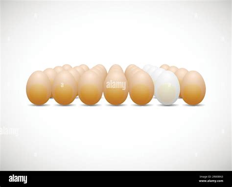 Grocery Egg Stock Vector Images Alamy