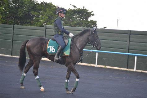 【函館2歳s】新馬好時計ヤンキーバローズ さらに上積み「体もだいぶ締まっていい感じ」 2024年7月9日掲載 ライブドアニュース