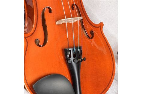 Скрипка ANTONIO LAVAZZA VL-28L размер 1/16 купить, цена 4 590 руб на ...