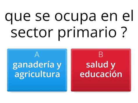 Division De Actividades Economicas En Mexico Quiz