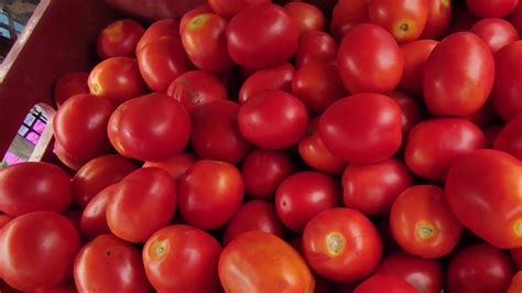 World News Dubai Indian Expat Flies Home With 10kg Tomatoes In