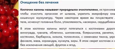 Косточки кизила: полезные свойства и противопоказания, от геморроя, как ...