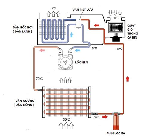 Rất Hay Cấu tạo và nguyên lý hoạt động của tủ lạnh bạn có thể chưa biết