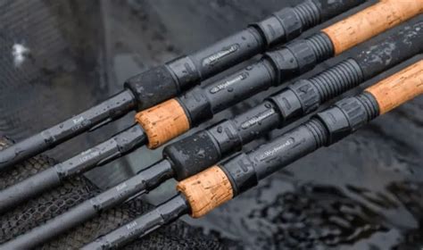 8 Best Budget Carp Rods (They Should Cost More!) - Carp Squad