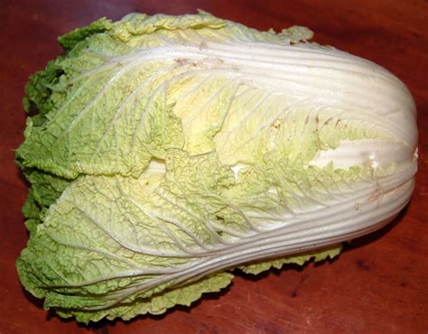 Homemade Kimchi Perfect Health Diet Perfect Health Diet