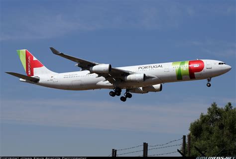 Airbus A340 312 Tap Air Portugal Aviation Photo 5221301