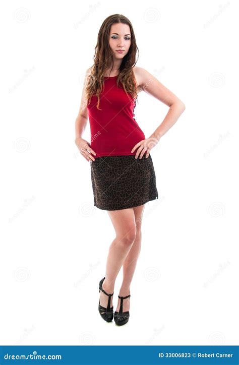 Pretty Brunette In Short Skirt Stock Image Image Of Isolated Slim 33006823