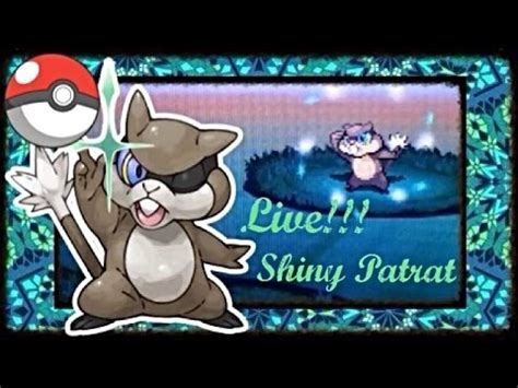 LIVE 2nd Shiny Patrat On White 2 After 2 659 REs YouTube