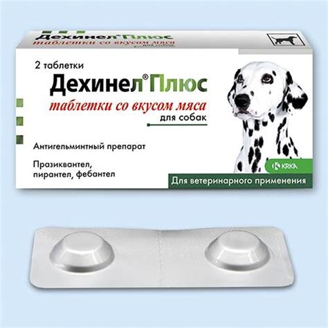 Противоглистные препараты для собак: отзывы, цена, широкого спектра