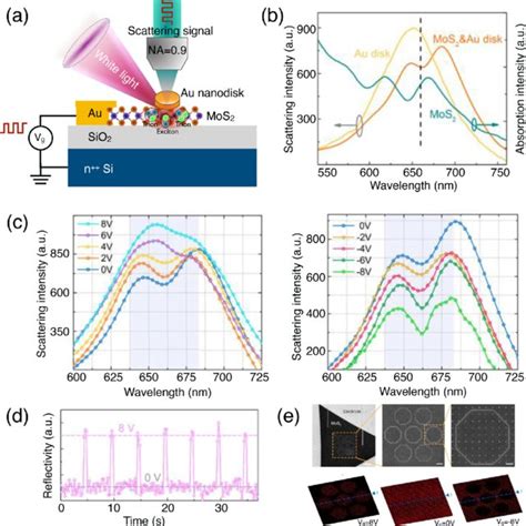 A Schematic Of The Trigonal Prismatic Structure Of A Monolayer Tmdc Download Scientific