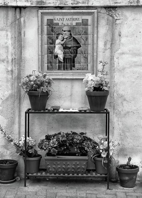 Saint Anthony San Xavier Courtyard Bw Photograph By Mary Bedy Pixels