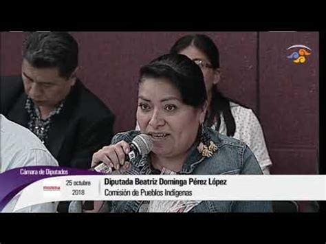 Participaci N De La Dip Beatriz Dominga P Rez L Pez Youtube