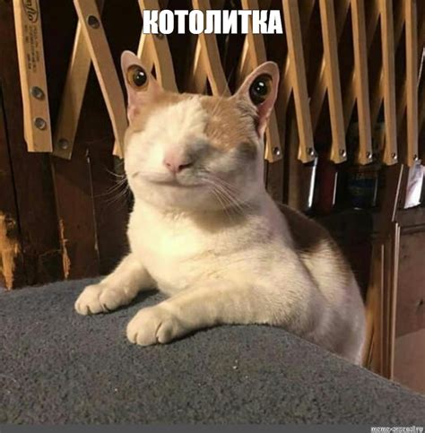 Создать мем карликовый кролик серебристый великан кролик фото кролик