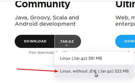 Ultimate edition of intellij idea - mountainoke