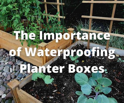 Don't Let Your Plants Drown: The Importance Of Waterproofing Your ...
