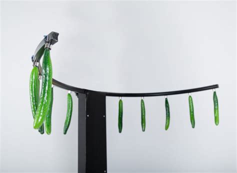 ПОЙМАЙ ПАЛКУ | FunkyGames