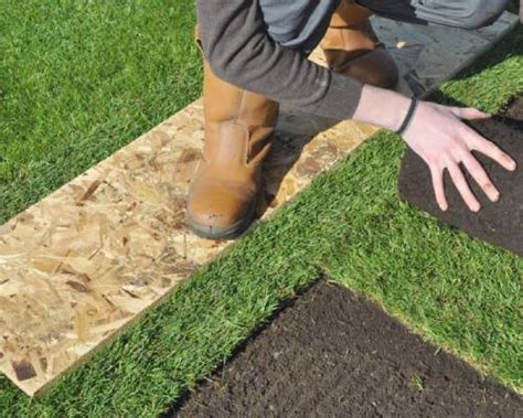 Turf Laying Service Sydney All Trees And Garden