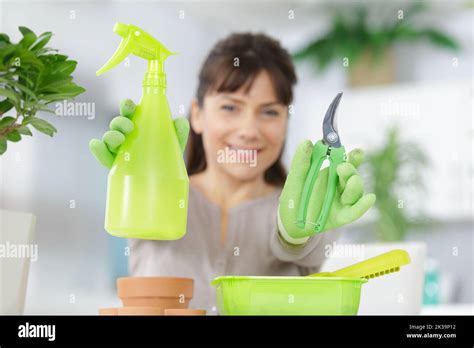 Mature Woman Gardener Showing Pruning Scissors Stock Photo Alamy