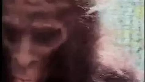 Free Costume Party Porn Videos XHamster