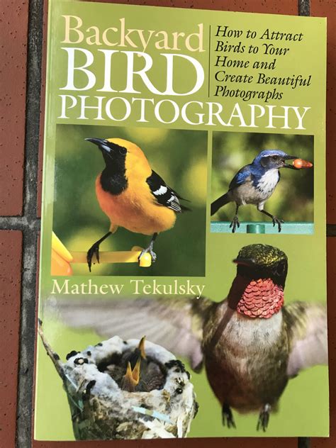 Book, Backyard Bird Photography