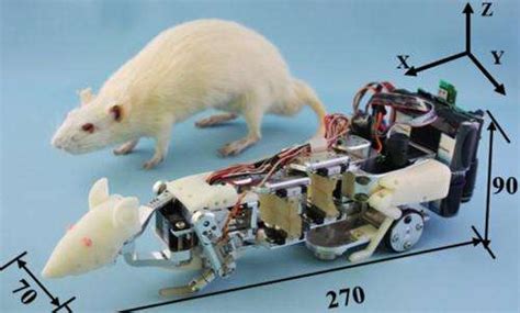 Researchers build robot rat to induce stress in lab animals (w/ Video)