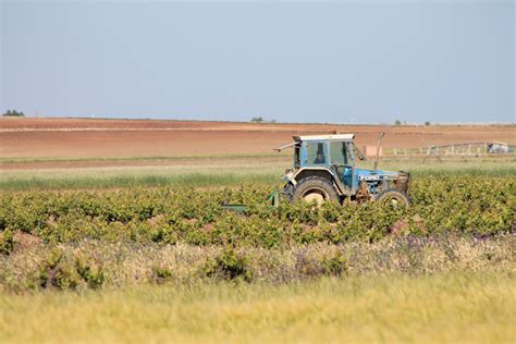 Los Mejores Consejos Para Transportar Un Tractor De Forma Segura Y