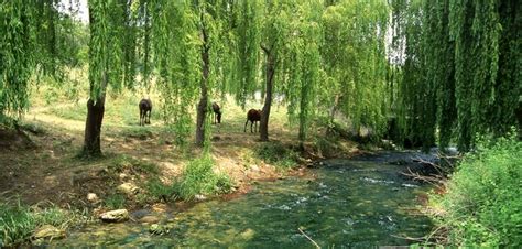 El turismo gay llega al interior de Andalucía Togayther