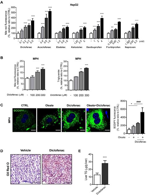 Nsaids Induce Hepatic Lipid Accumulation In Vitro And In Vivo A