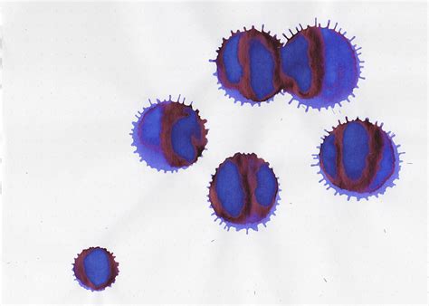 Ink Review #1634: Waterman Serenity Blue — Mountain of Ink