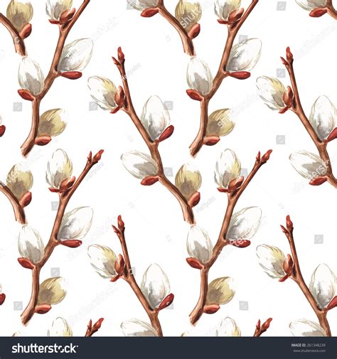 Hand Drawn Pussy Willow Branches Background Stock Vector Royalty Free Shutterstock