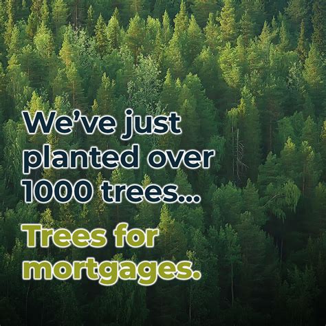 finance planning group  linkedin sustainability future