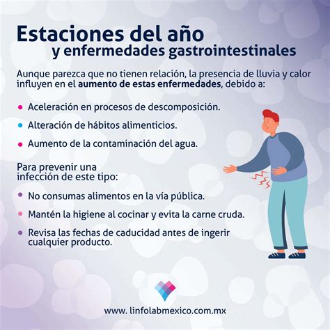 Todo Lo Que Debes Saber Sobre Enfermedades Gastrointestinales