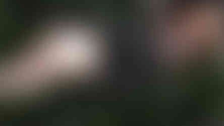 Coco Lace Lingerie Pack Cbbe Uunp Se