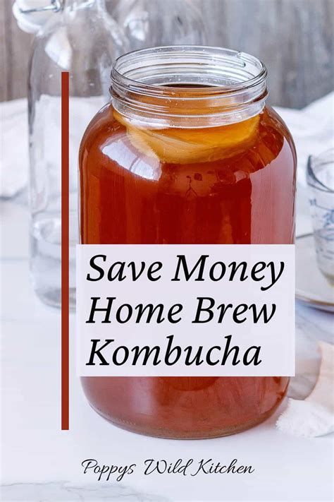 Kombucha Brew For Pennies Poppys Wild Kitchen
