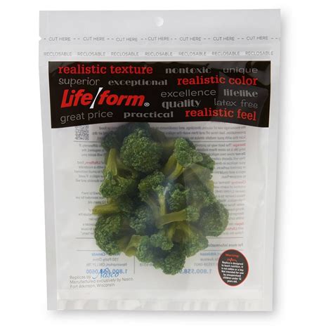 Nasco Healthcare Broccoli Food Replica - 1 cup (240 ml) | Anatomy Warehouse
