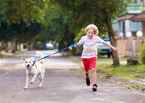 Best Places to Live in the Knoxville Metro Area | Stacker