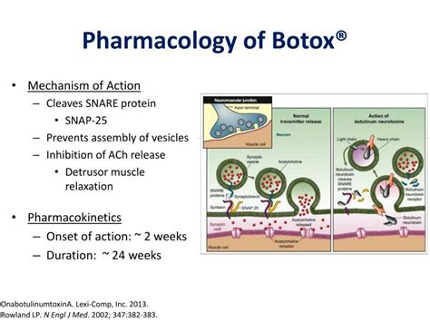 PPT - OnabotulinumtoxinA (Botox®) for the Treatment of Overactive ...