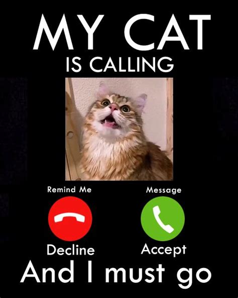 funny catcalling memes