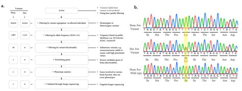 A An Overview Of Variant Filtering Of Whole Exome Sequencing Adapted Download Scientific