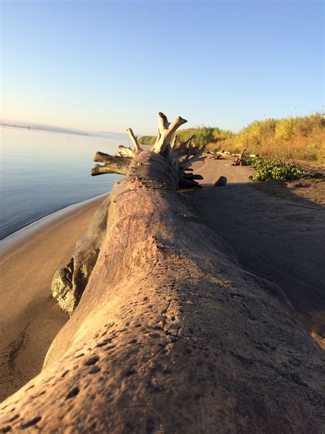 Visit Rio Vista Best Of Rio Vista California Travel 2022 Expedia