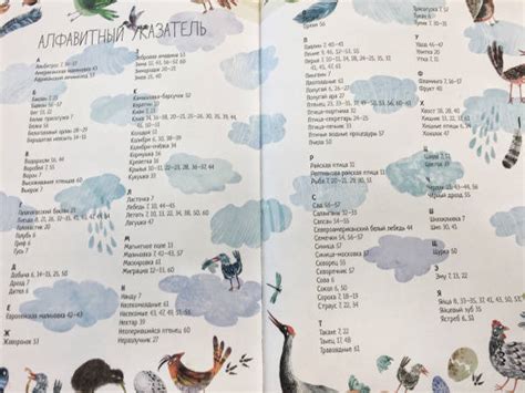 Книга: Большая книга птиц - Юваль Зоммер. Купить книгу, читать рецензии ...