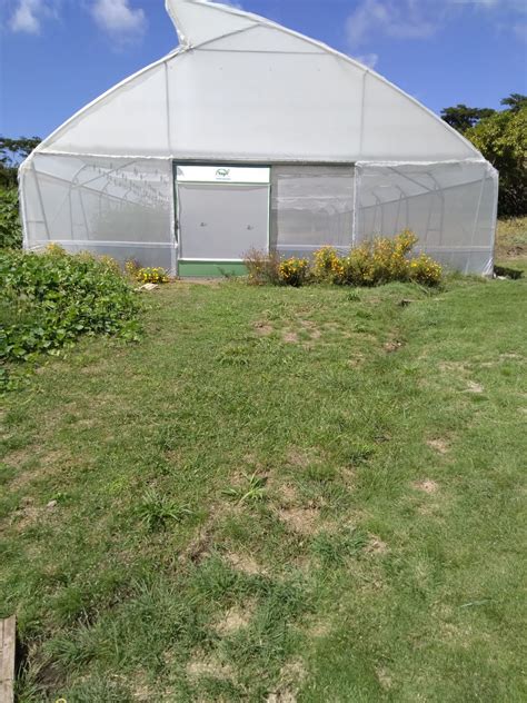 Building capacity in protected agriculture in Grenada – Caribbean