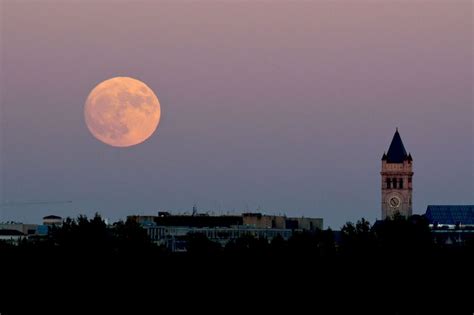 Supermond - Der Tag davor (Fotos) - DER SPIEGEL
